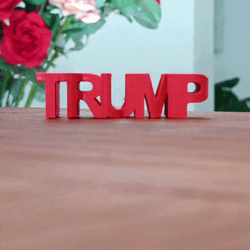 🎨 Flip Text - Donald Trump 2028・ STL File for 3D printing・Cults