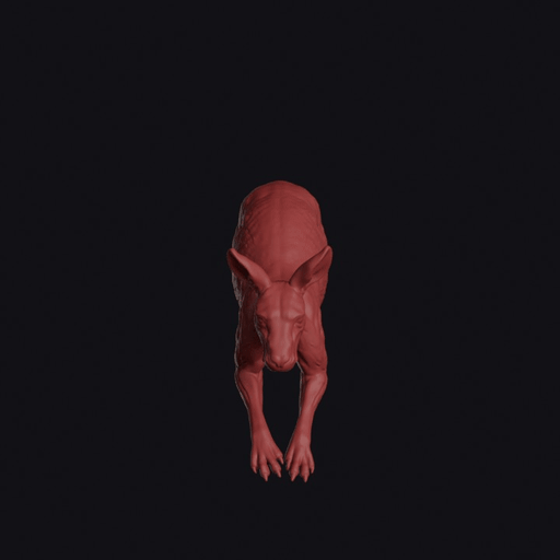 Leaping Antilopine Kangaroo