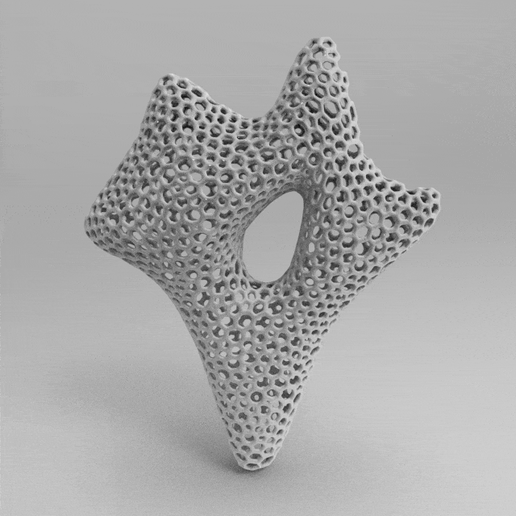 voronoi sculpture 10 3D model