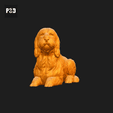 134-Basset_Griffon_Vendeen_Petit_Pose_08.gif Basset Griffon Vendeen Petit Dog 3D Print Model Pose 08