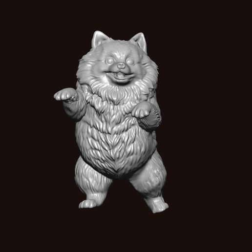 4a.mp4 Pomeranian niedlich