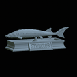 Sturgeon-statue-5.gif fish beluga / sturgeon / huso huso / vyza velká statue detailed texture for 3d printing