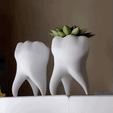 GIF-2021-12-29-02-39-54.gif STL file Tooth Vase, Dentist Gift・3D print design to download