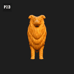 502-Collie_Rough_Pose_01.gif Archivo STL Collie Rough Dog Impresión 3D Modelo Pose 01・Modelo para descargar y imprimir en 3D
