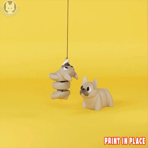 FORMATO-2.gif FLEXI FRENCHIE