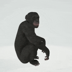 WhatsApp-Video-2021-06-06-at-15.56.22.gif STL file Monkey model - Monkey・3D printing template to download