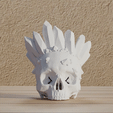Crâne-couronne.gif Reproduction of human skull with crown crystals in digital format