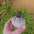 1000056004.gif Skull Scary Spider Skeleton