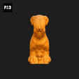 424-Cesky_Terrier_Pose_04.gif Cesky Terrier Dog 3D Print Model Pose 04