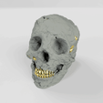 Stone-Skull-with-gold-nuggets-2.gif Stone Skull [with gold nuggets]