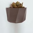 zlk8x-w2686.gif STL file Maceta Colgante - Flower Pot・3D printer model to download