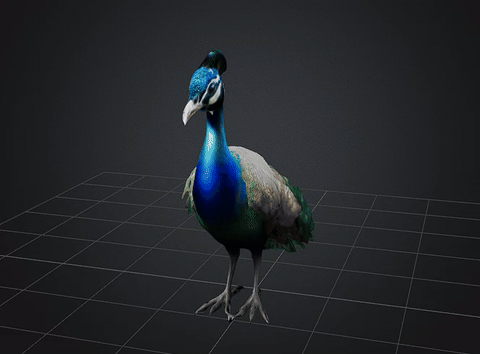 dbx-peacock.gif DBX Peacock Stl Obj Glb for 3D Printer