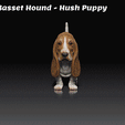 HushPuppy.gif Basset Hound - Hush Puppy - Dog Breed - 3d print model