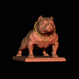 gif.gif American Bully Pocket