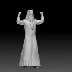 dumb.gif Archivo STL dumbledore・Plan de impresión en 3D para descargar