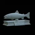 Rainbow-trout-statue-5.gif fish rainbow trout / Oncorhynchus mykiss open mouth statue detailed texture for 3d printing