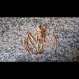 Skeleton_Bat_Video02.gif FLEXI PRINT-IN-PLACE SKELETON BAT _HELLOWEEN