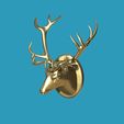 Deer.gif Deer