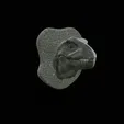 my_project-1.gif t-rex head trophy on the wall / two faces / dinosaur