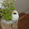 ddrr-1648566101890.gif chick in the egg baby