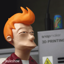 IMG_1002_1.gif Free STL file Fry Futurama 🚀 Not Sure If・3D printing design to download, bigovereasy