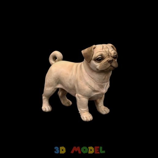 pug-dog-sculpture-model.mp4 modelo de escultura de perro carlino