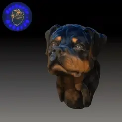 ROTTWEILER-HEAD.gif Rottweiler Head
