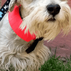 Zeus-collar.gif 3D-Datei Halsband für Hunde - Nasenlöcher für Hunde・Design für 3D-Drucker zum herunterladen