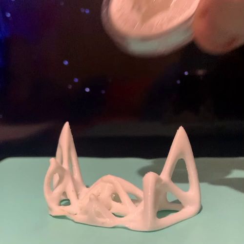 500.mp4 Display Coin Stand holder