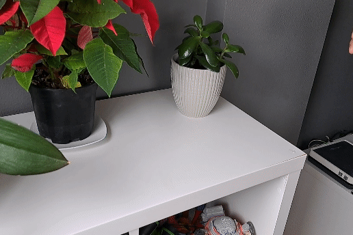 Sonic sneaker pot - 3D model önizlemesi