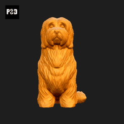 523-Coton_De_Tulear_Pose_04.gif Archivo STL Coton De Tulear Perro Impresión 3D Modelo Pose 04・Design para impresora 3D para descargar