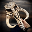 gif.gif 3D file Mythosaur Skull High Quality - Mandalorian Starwars Movie・Template to download and 3D print