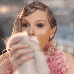 Gingerbread Cat & Bed