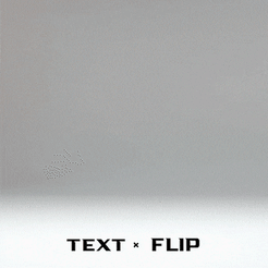 TEXT « FLIP Archivo STL gratis Voltear el texto - Canguro・Diseño de impresión 3D para descargar, master__printer