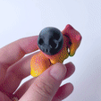 20240426_030528626_iOS.gif 3 Pack of snails