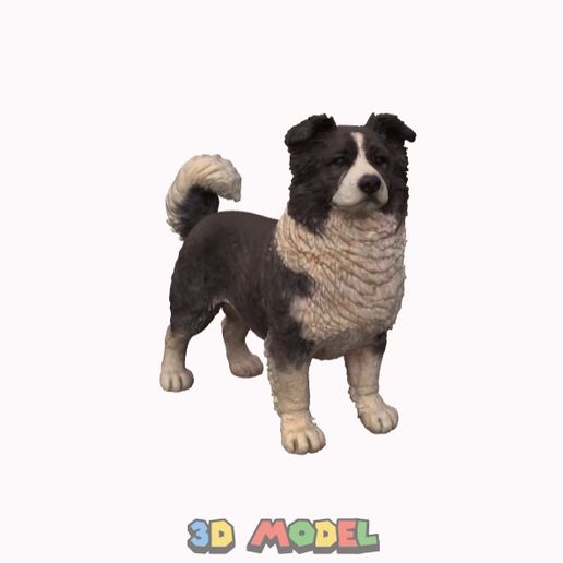 🐕 border collie figurine・ STL File for 3D printing・Cults
