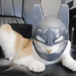 WhatsApp-Video-2022-04-18-at-1.25.59-PM.gif STL-Datei BATMAN-KATZEN-MASKE・Modell zum Herunterladen und 3D-Drucken