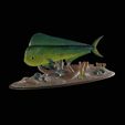 my_project-1.gif mahi mahi / dorado / common dolphinfish underwater statue detailed texture for 3d printing