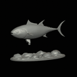 Bluefin-tuna-4.gif Atlantic bluefin tuna / Thunnus thynnus / Tuňák obecný  fish underwater statue detailed texture for 3d printing