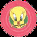 titinet