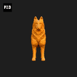 217-Belgian_Shepherd_Dog_Tervueren_Pose_01.gif Belgian Shepherd Dog Tervueren Dog 3D Print Model Pose 01
