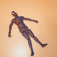 spider_flexi.gif spiderflexi