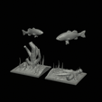 bass-R-2.gif two bass scenery in underwather for 3d print detailed texture