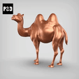 gif.gif bactrian camel pose 02