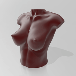 01.gif STL file Bust 09・3D printer model to download