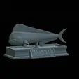 Base-mahi-mahi-2.gif fish mahi mahi / common dolphin fish statue detailed texture for 3d printing