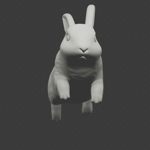 1.stl0001-0100-5.gif RABBIT