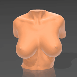 01.gif STL file Bust 03・3D printable model to download