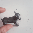 20230121_121236.gif Articulated lInce.