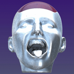 Boite-tête avec couvercle.gif STL-Datei Head-shaped box kostenlos herunterladen • 3D-druckbare Vorlage, omni-moulage